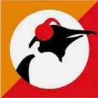 logo Pinguin Indie