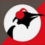 logo Pinguin Fiesta